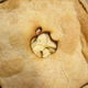 Image for article titled Laser-Cut Apple Apple Mac Mini Pie Probably Runs On Vanilla OS X Ice Cream